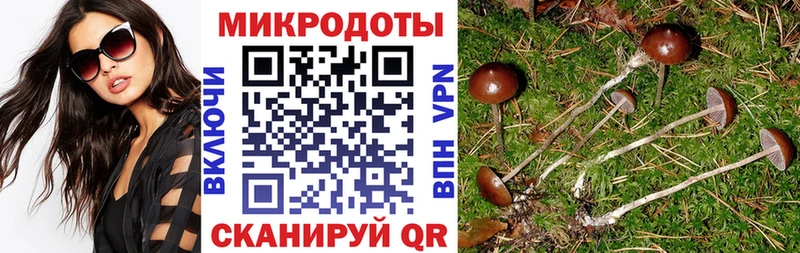 ОМГ ОМГ ССЫЛКА  Хвалынск  Галлюциногенные грибы Magic Shrooms 
