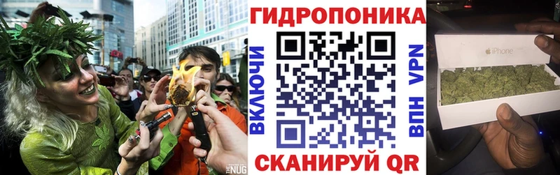 МАРИХУАНА ГИДРОПОН  Хвалынск 